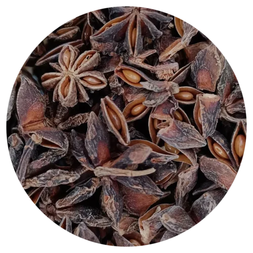 Plante Badiane bio