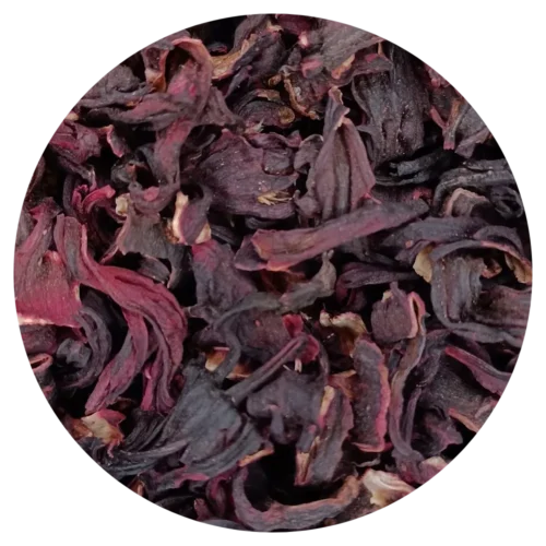 Plante Hibiscus bio