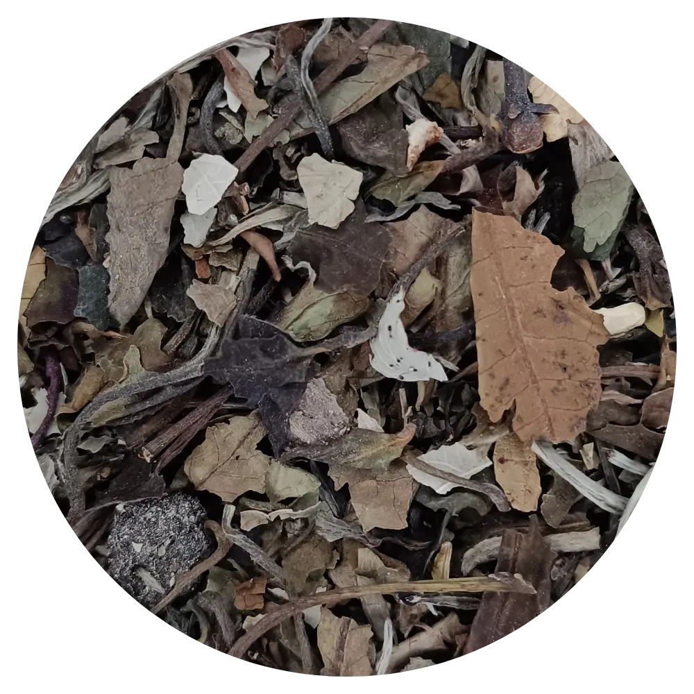 Thé blanc de Noël Ailes d’hiver — une exploration audacieuse 1 Thé blanc de Noël Ailes d’hiver — une exploration audacieuse