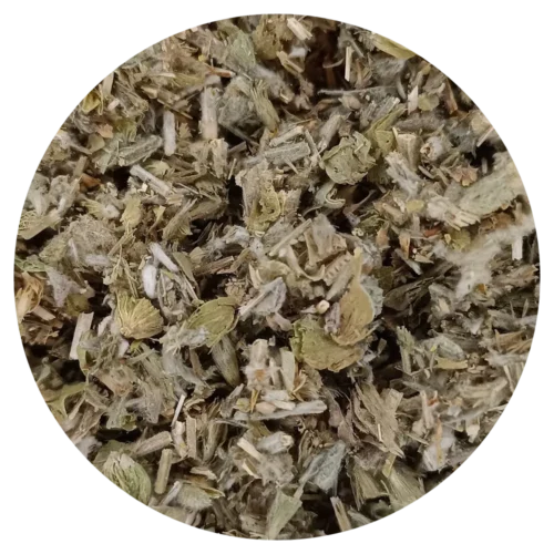 Sideritis bio - l’Infusion des montagnes grecques