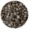 the vert jasmin dragon pearls