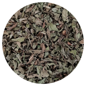 Accueil 19 Menthe bio