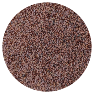 Psyllium bio
