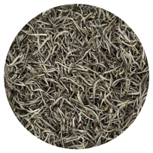 Mozambique silver tips BIO — Thé blanc rare