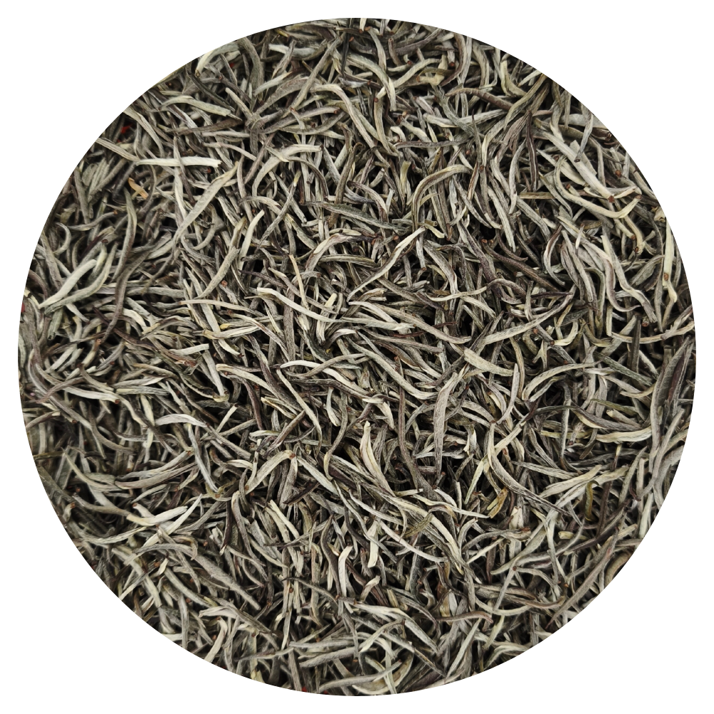 Mozambique silver tips BIO — Thé blanc rare 1 Mozambique silver tips BIO — Thé blanc rare